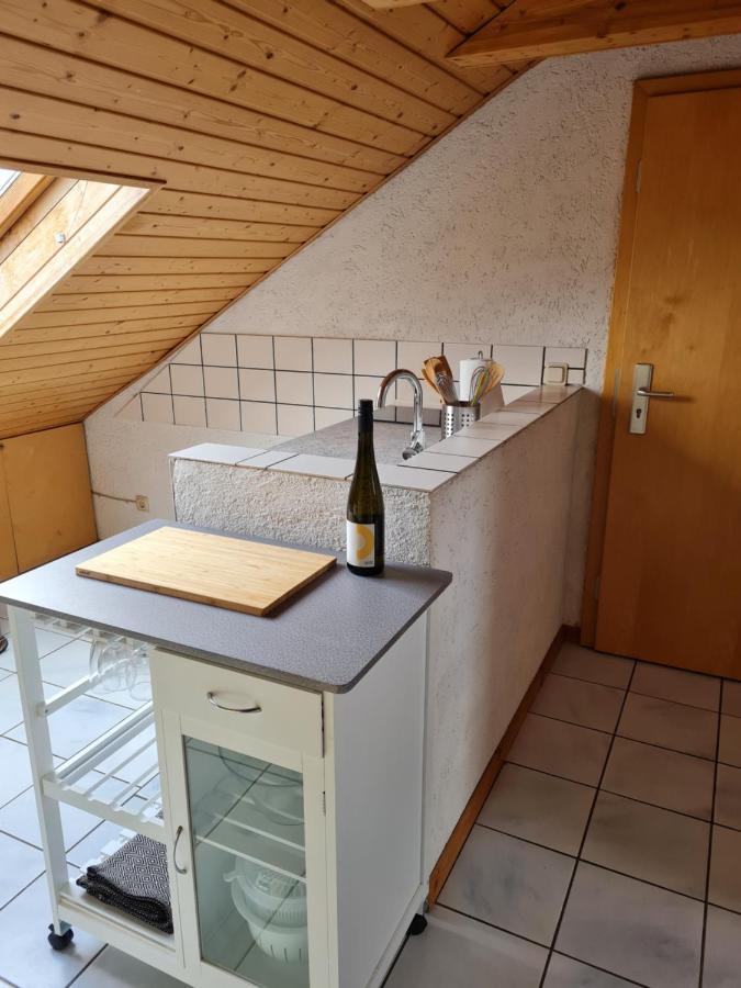 Chagall - Helles Und Gemuetliches Appartement Nahe Der Historischen Altstadt Mainz Eksteriør bilde